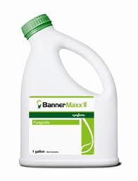 Banner Maxx II Fungicide-Gallon - simple