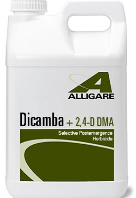 herbicide with dicamba Dicamba Plus 2,4-D Herbicide