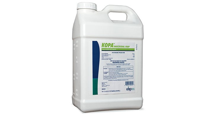 insecticidal soap for sawflies Kopa Insecticidal Soap