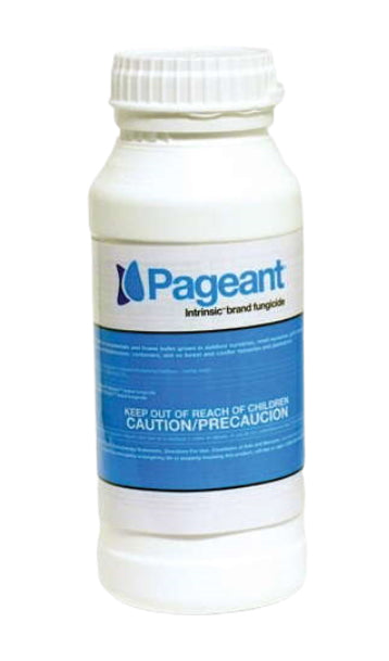 Pageant Intrinsic Brand Fungicide - grouped