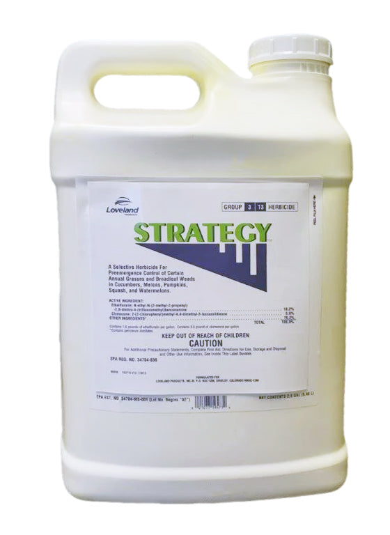ambition herbicide Strategy Herbicide – Pre-Emergence Control for Cucurbits