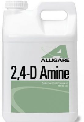 2,4-D Amine gallon (128 oz) - simple