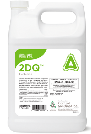 2DQ-Gallon - simple