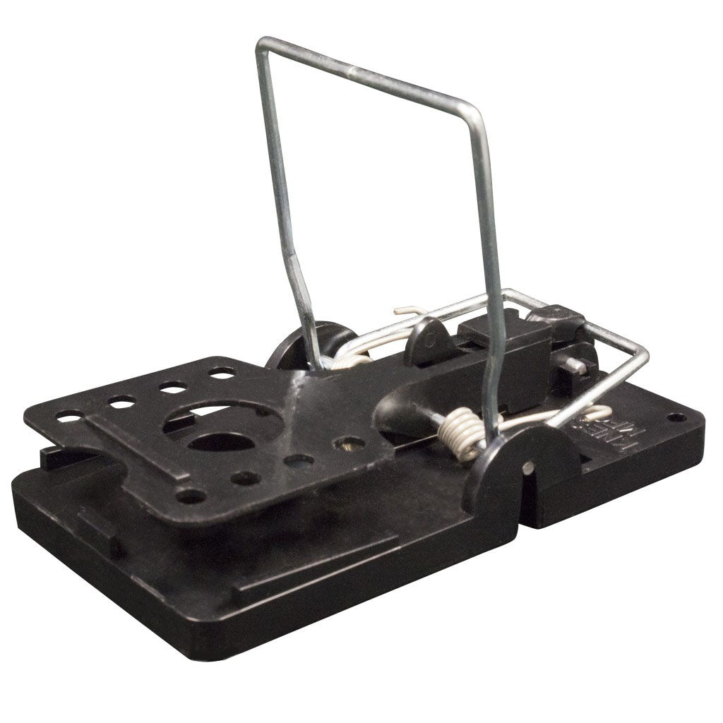 Big Snap-E Rat Trap - grouped