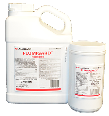 ajuga herbicide Flumigard Herbicide – Aquatic & Landscape Weed Control