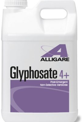 Glyphosate 4 Plus quart (32 oz) - simple