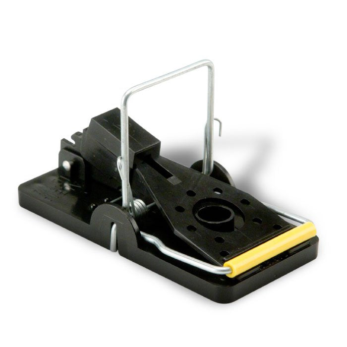 Snap-E Mouse Trap - grouped