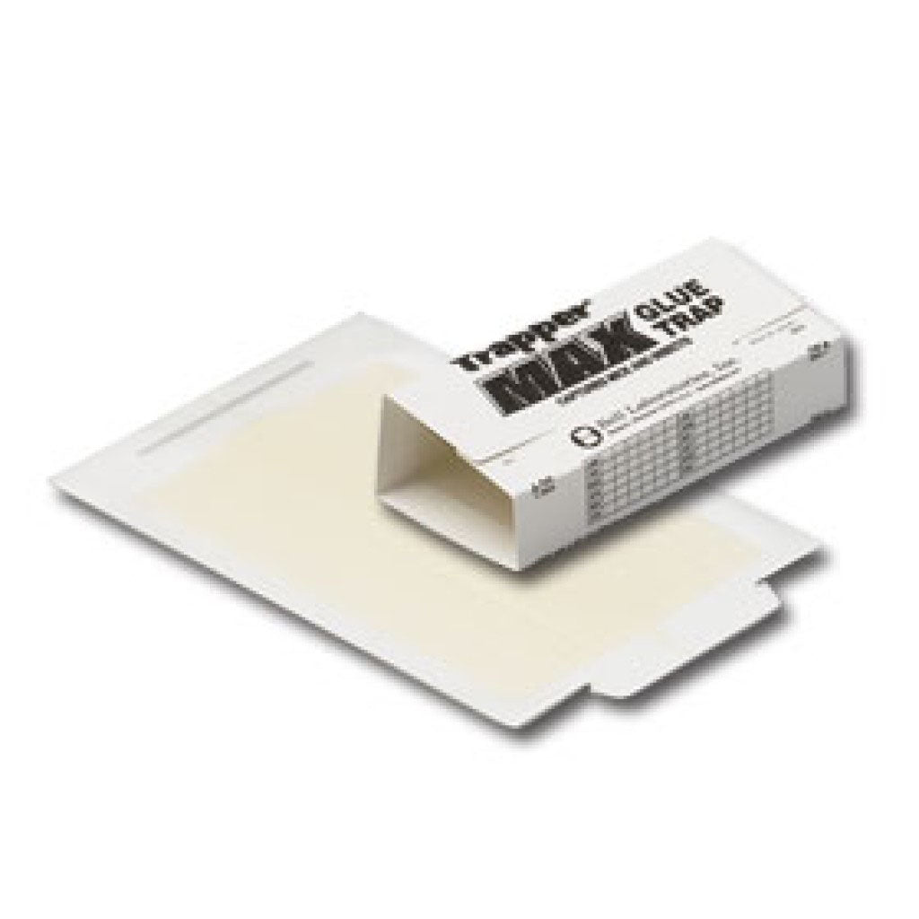 Trapper Max Glue Board for Mice pack of 12 glue boards - simple